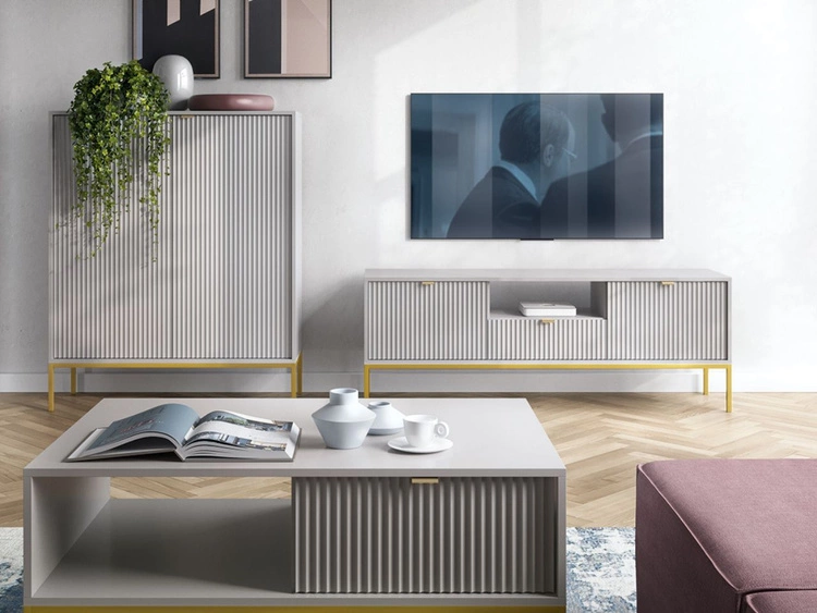 Szafka RTV pod telewizor z szufladami i drzwiczkami Amber Szara na złotych nogach
