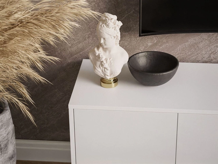 Szafka RTV pod telewizor z drzwiczkami na czarnych nogach Vivance Biały połysk