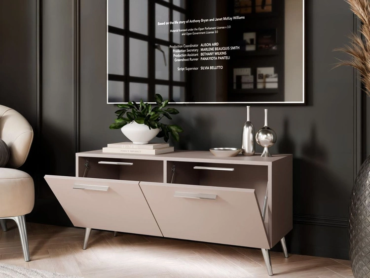 Szafka RTV pod telewizor z drzwiczkami i oświetleniem LED na srebrnych nóżkach 100 cm Noaé Kaszmir