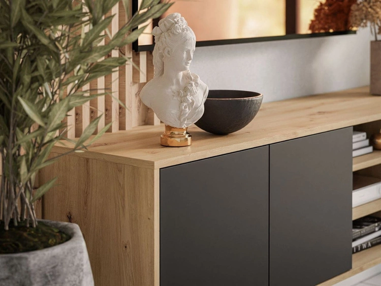 Szafka RTV pod telewizor wisząca z drzwiczkami Vivance Czarny i dąb artisan