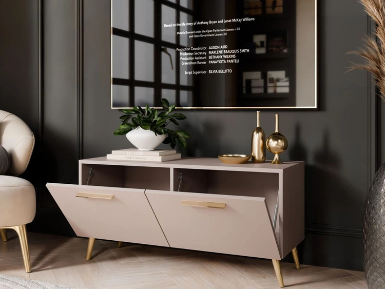Szafka RTV pod telewizor z drzwiczkami na złotych nóżkach 100 cm Noaé Kaszmir