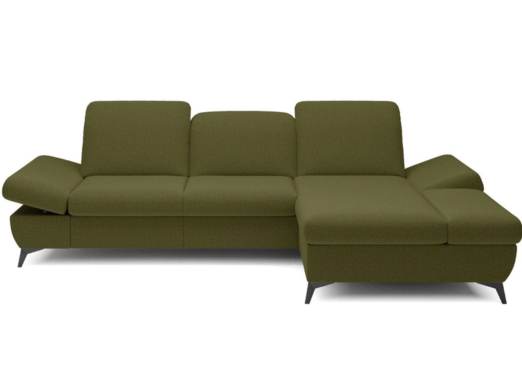 Ciemny zielony \ Prawa