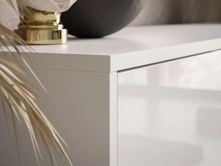 Szafka RTV pod telewizor z drzwiczkami na srebrnych nogach Vivance Biały połysk