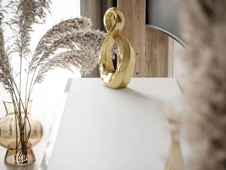 Szafka RTV z frezowanymi frontami i metalowymi złotymi nóżkami Vionel biały połysk