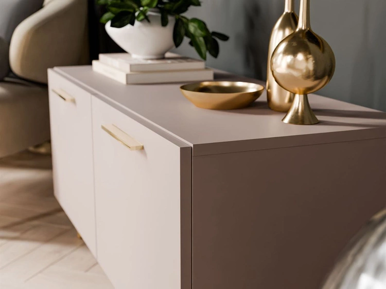 Szafka RTV pod telewizor z drzwiczkami na złotych nóżkach 100 cm Noaé Kaszmir