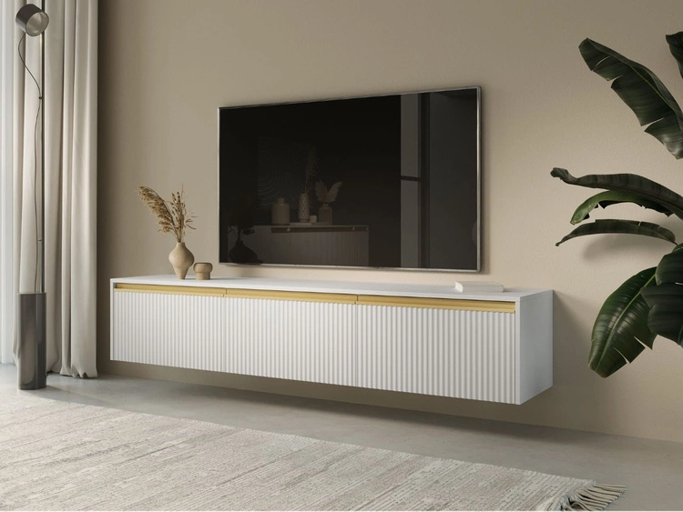 Szafka pod telewizor z drzwiczkami Roland Biały