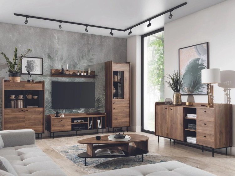 Witryna stojąca do salonu Vasa Brązowa