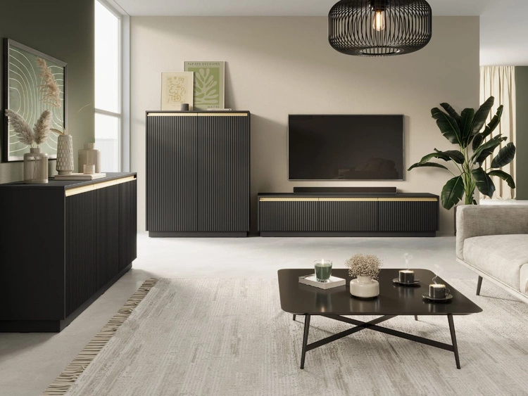 Szafka pod telewizor z drzwiczkami Roland Czarny