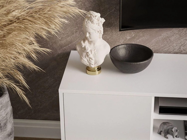 Szafka RTV pod telewizor z drzwiczkami Vivance Biały połysk